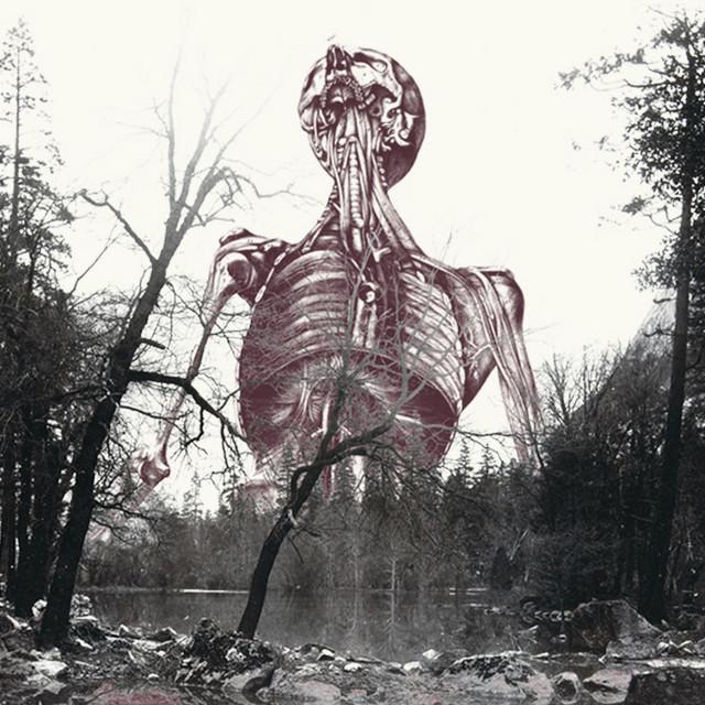Mortuus