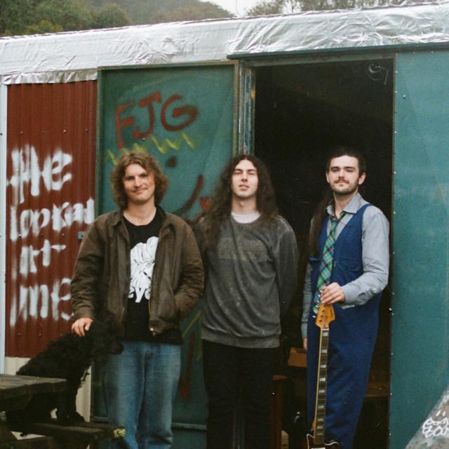 Legal Noise