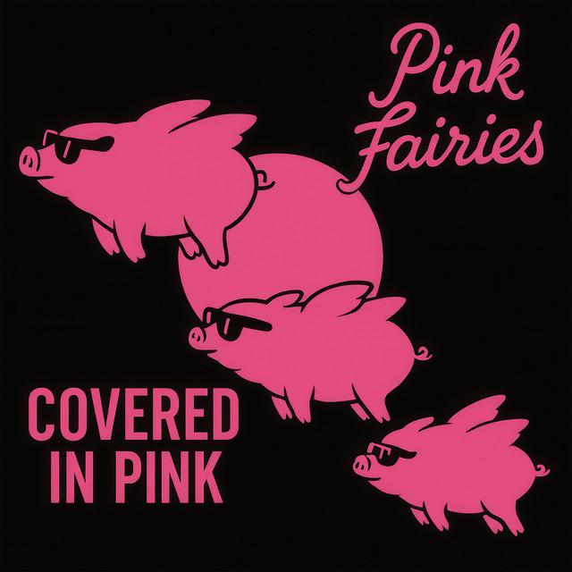 The Pink Fairies