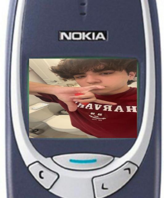 zaydie