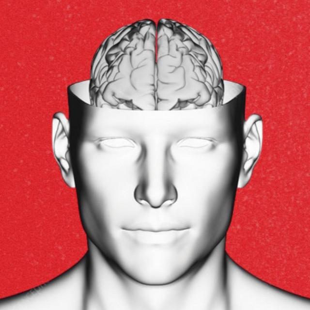 Brain Damage