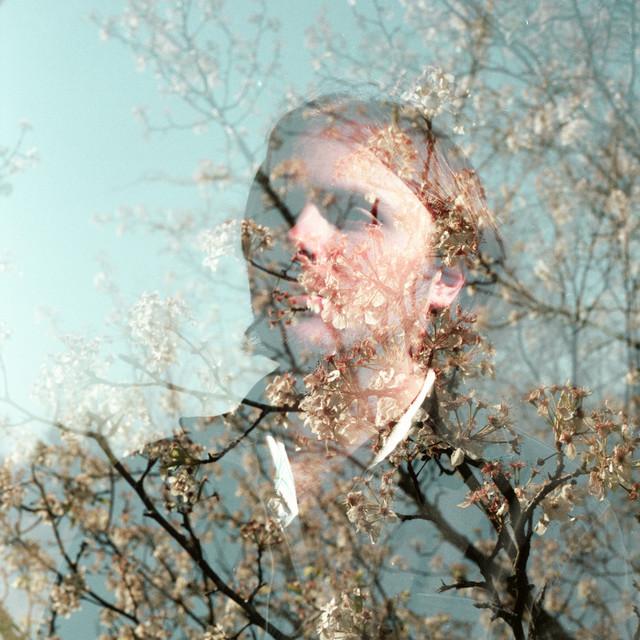 Will Orchard