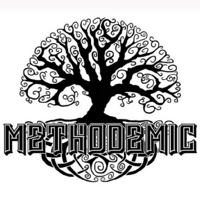 Methodemic
