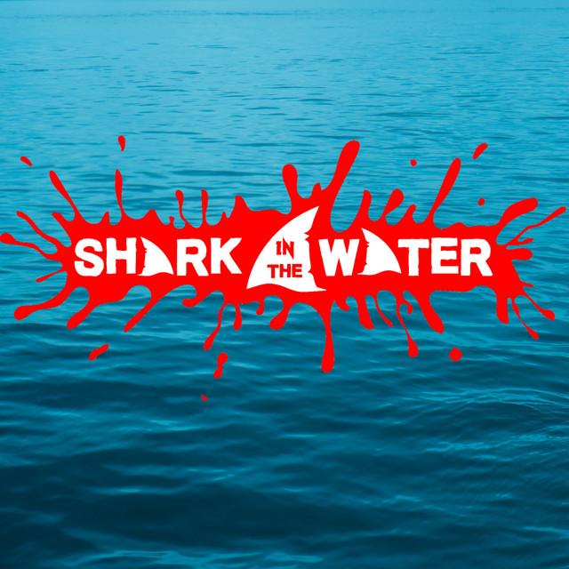 Shark in the Water