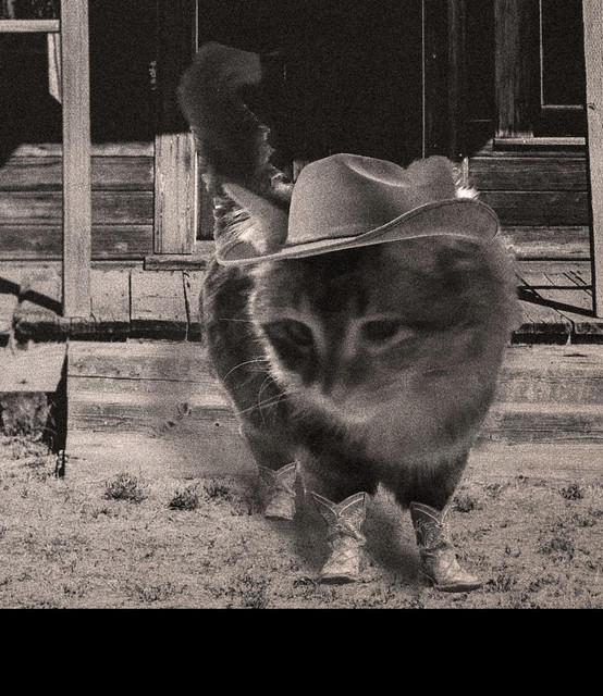 Sadie and the Ladies