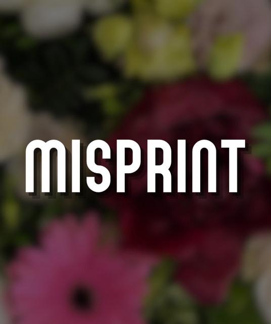 Misprint