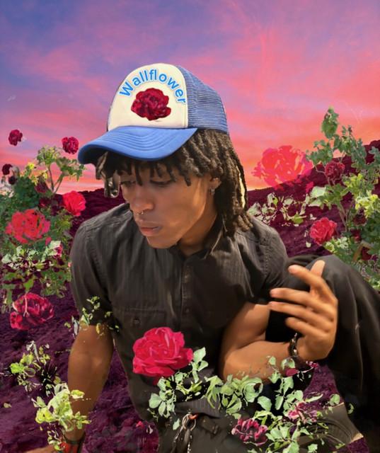 Wallflower