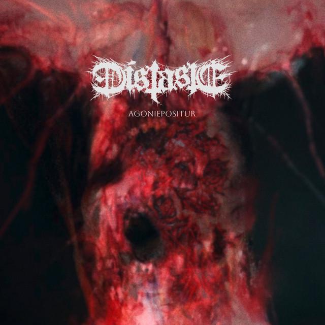 Distaste