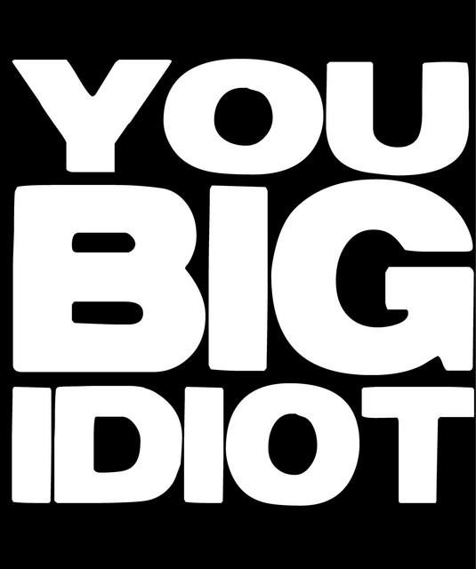 You Big Idiot