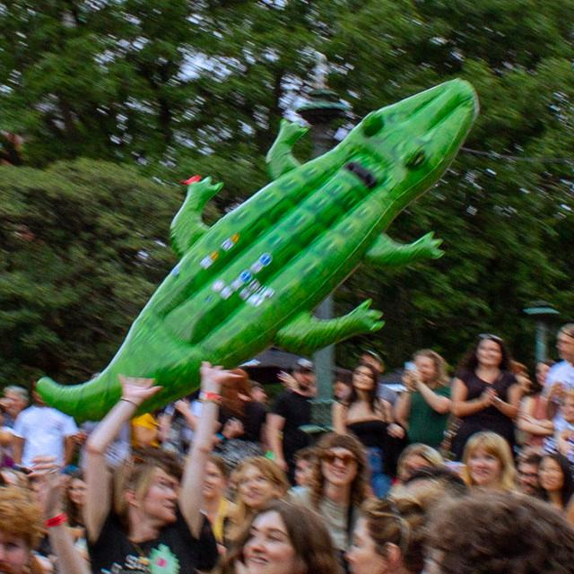 Space Gators