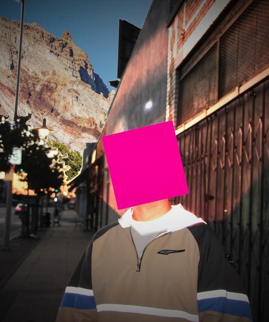 Origami Human