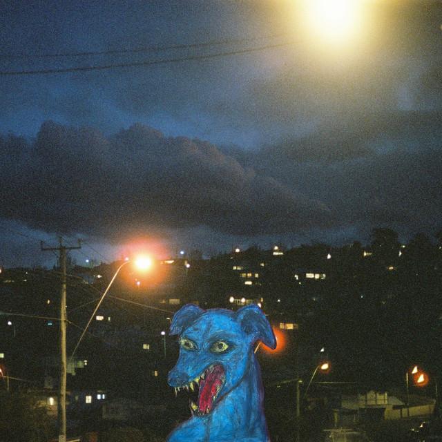 Odd Dog in the Capital