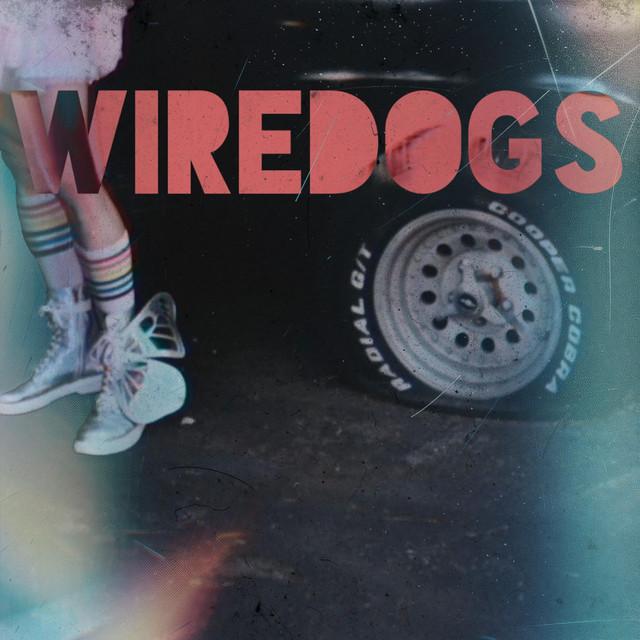 Wiredogs