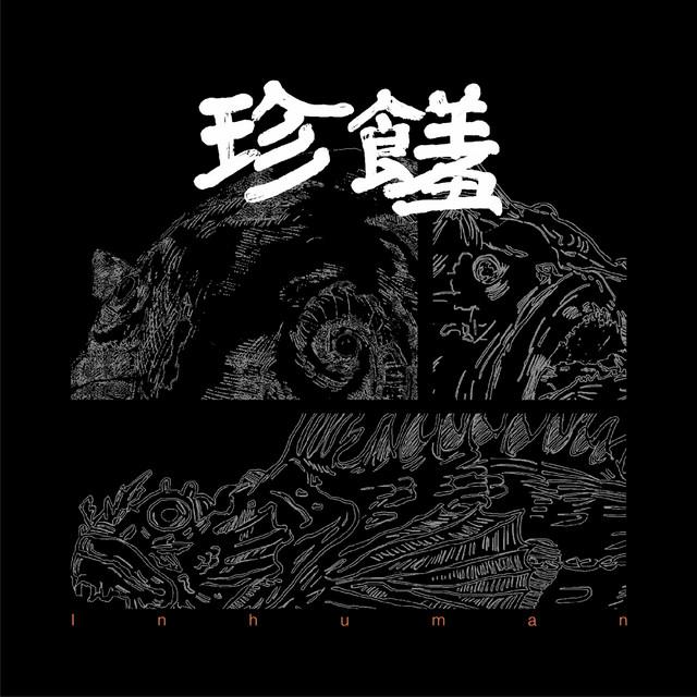 非人物種