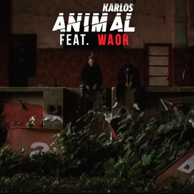Waor