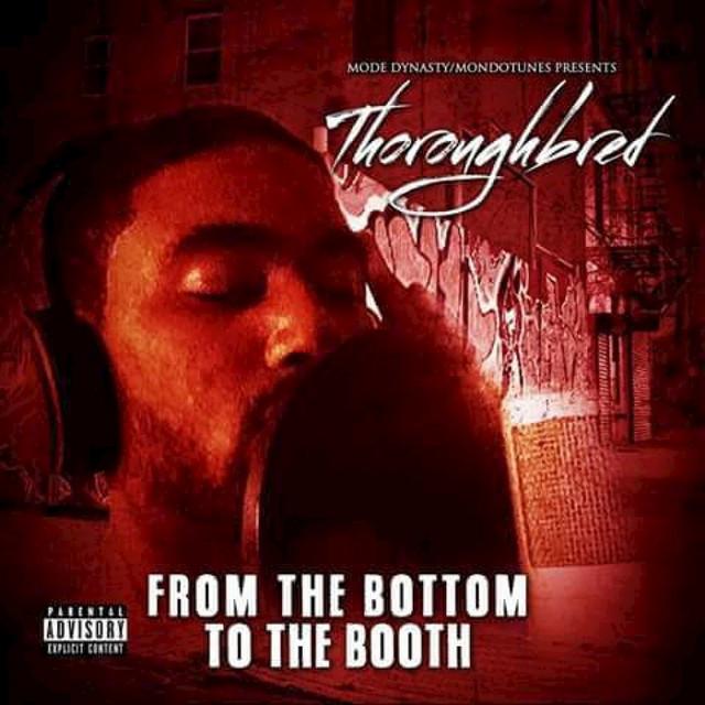 Thoroughbred