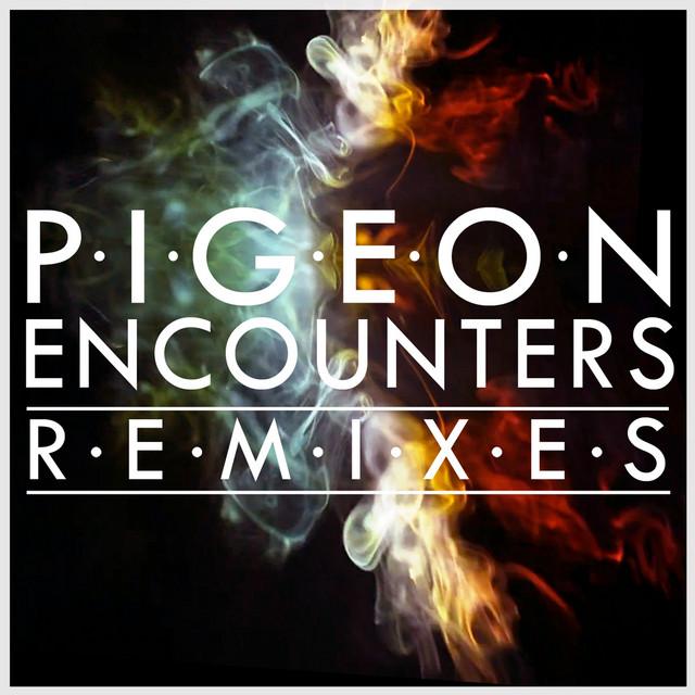 Pigeon