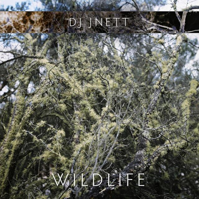DJ Jnett