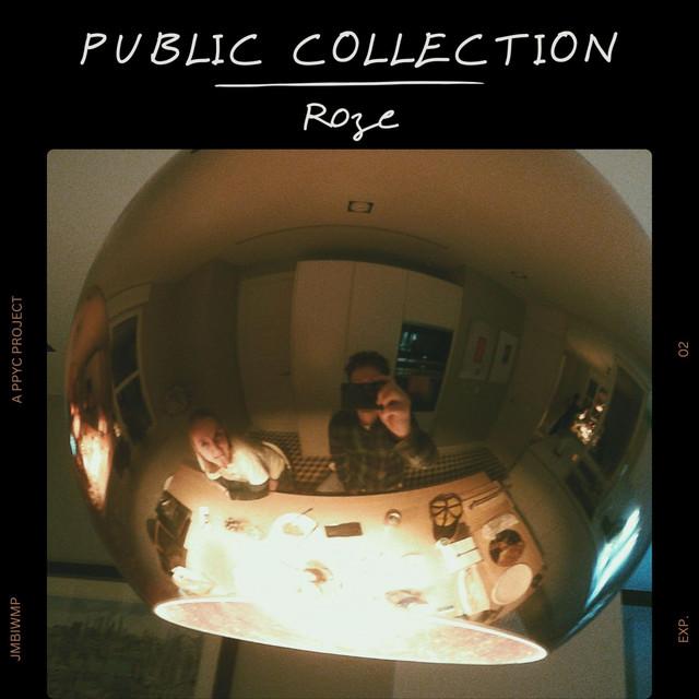 PUBLIC COLLECTION