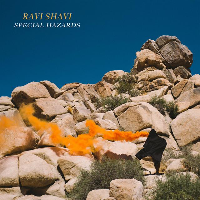 Ravi Shavi
