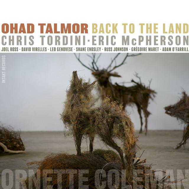 Ohad Talmor
