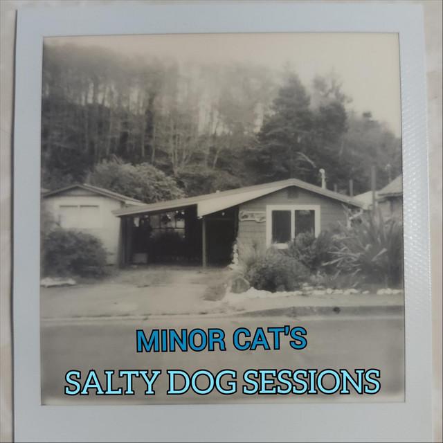 Minor Cat