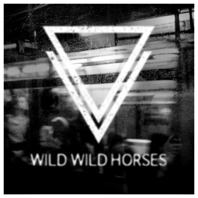 Wild Wild Horses