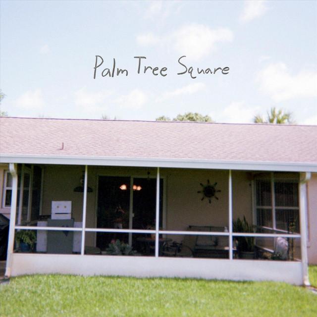 Palm Tree Square