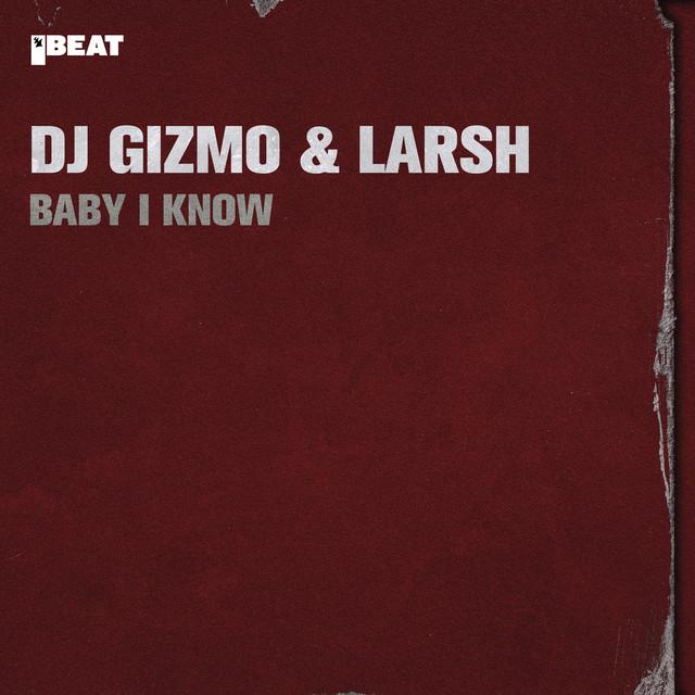 Dj Gizmo