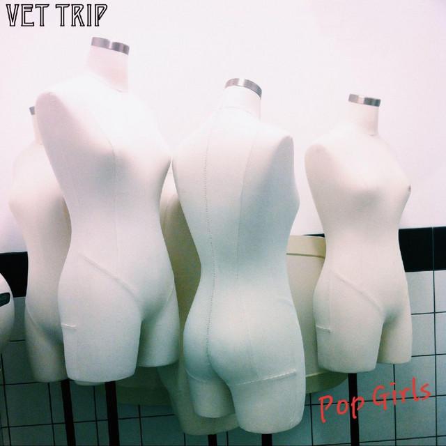 Vet Trip