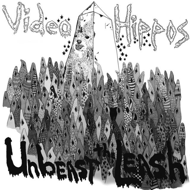 Videohippos