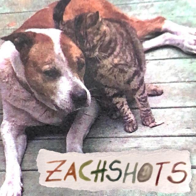 Zachshots