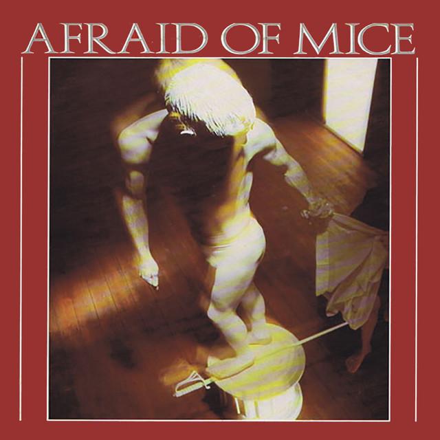 Afraid Of Mice