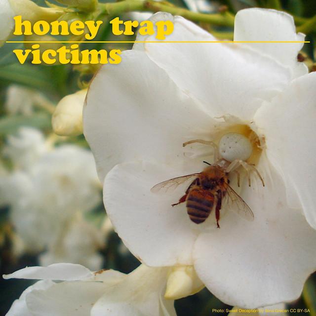 Honey Trap