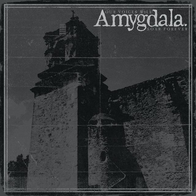Amygdala