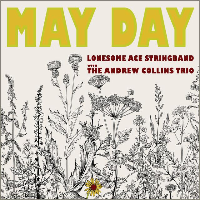 The Andrew Collins Trio