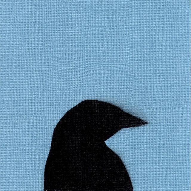 The Murder of Crows