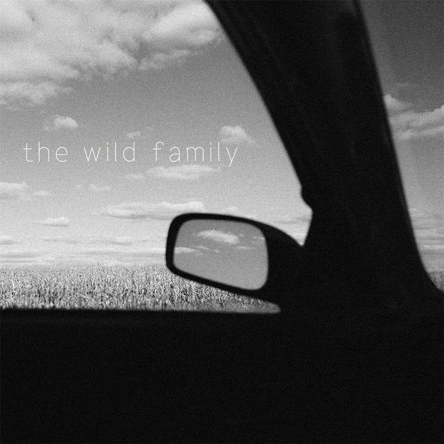 The Wild Family