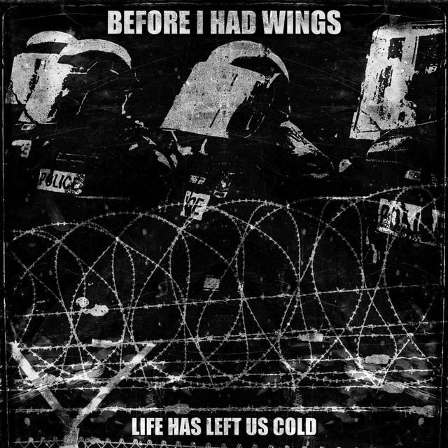 Before I Had Wings