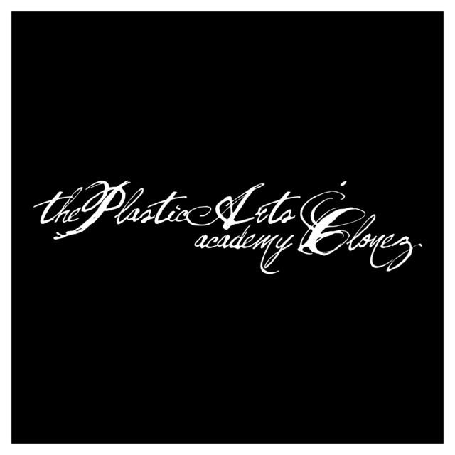 The Plastic Arts