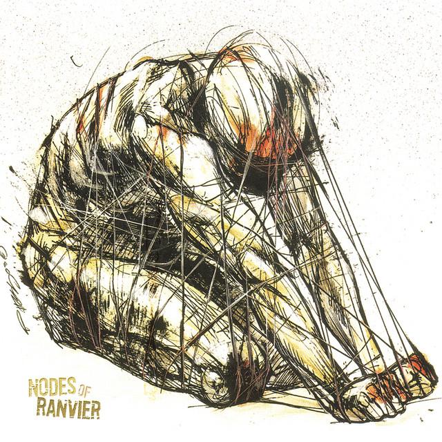 Nodes Of Ranvier