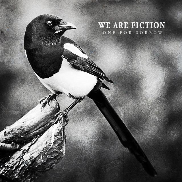 We Are Fiction