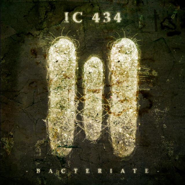 IC 434