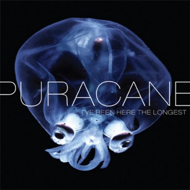 Puracane
