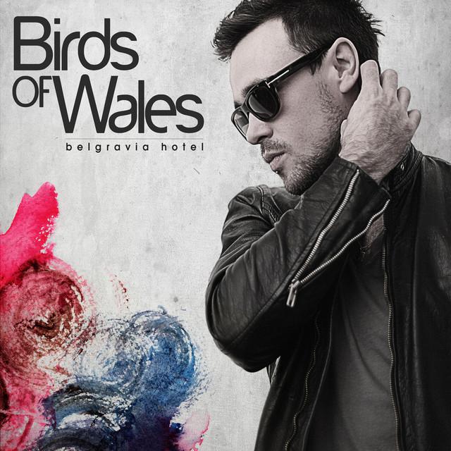 Birds of Wales