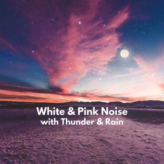White Noise Universe
