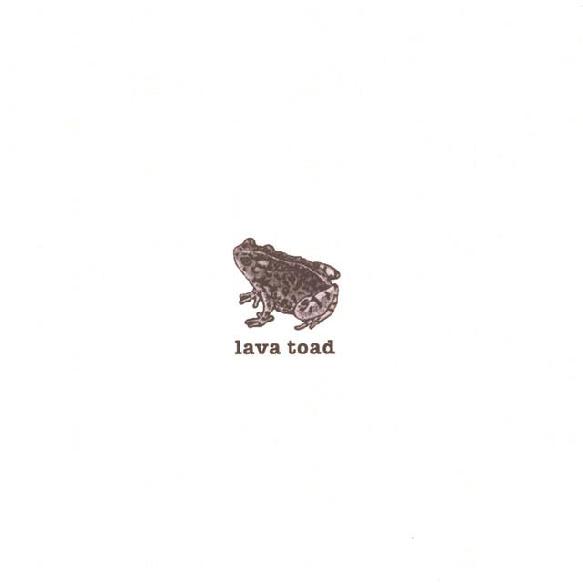 lava toad