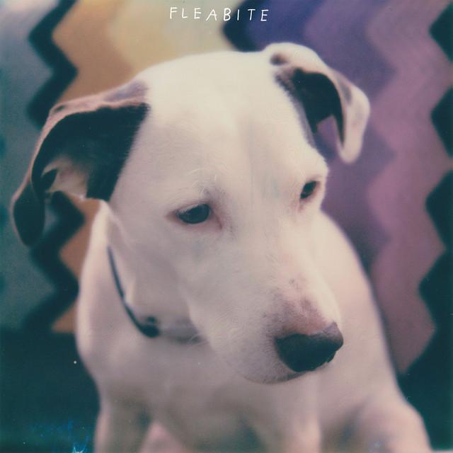 Fleabite