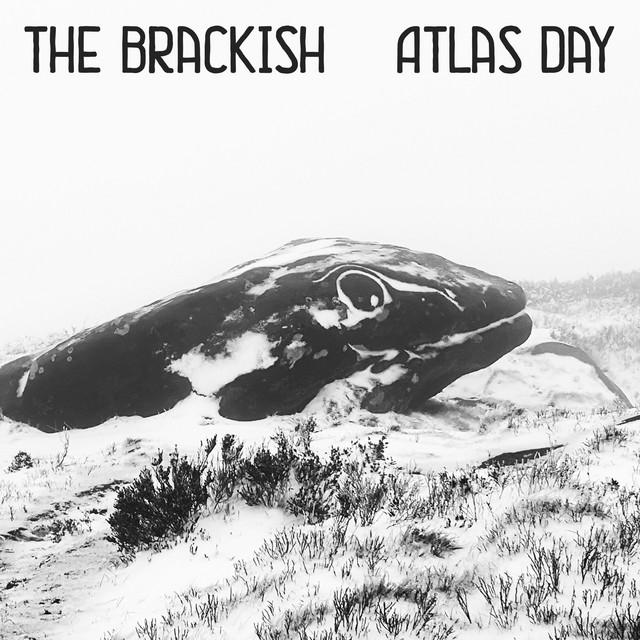 The Brackish