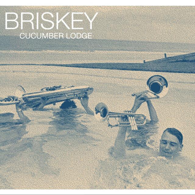 Briskey